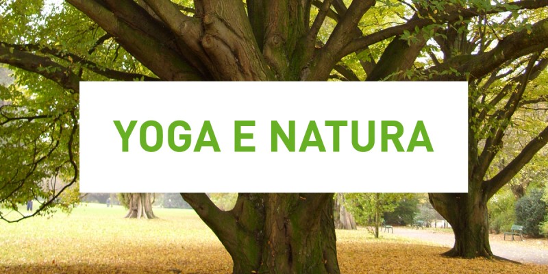 Yoga e natura: vacanza nel bosco