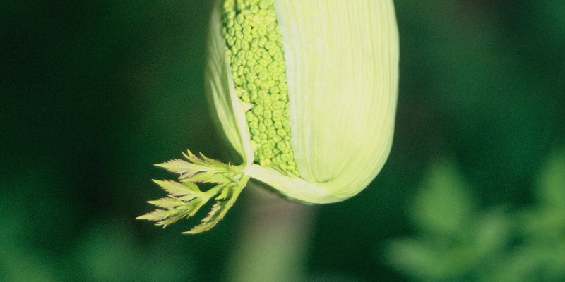 Terra e aria: naturalmente benessere