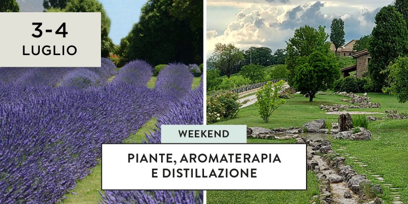 Aromaterapia e distillazione, lavanda day