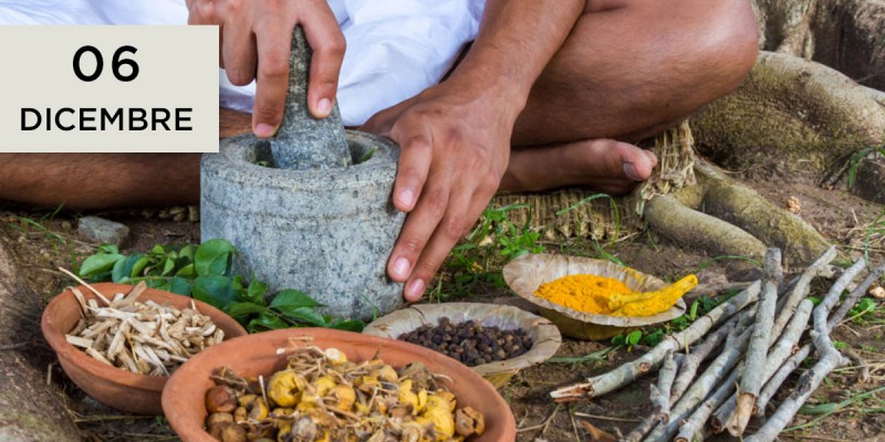 Le piante curative secondo l’Ayurveda. Classificazione e combinazioni