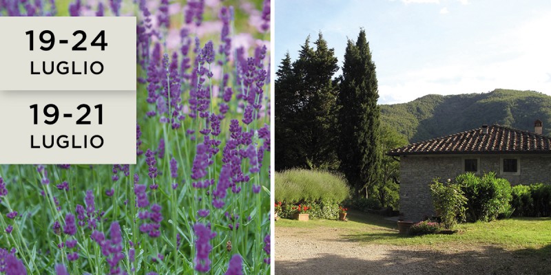 Armonie vegetali residenziale estivo in Toscana