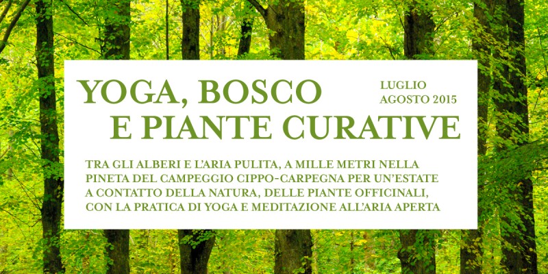 Yoga, bosco e piante curative