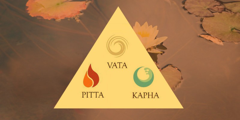 Corso introduttivo di ayurveda: principi base, prakriti e riferimenti di naturopatia 