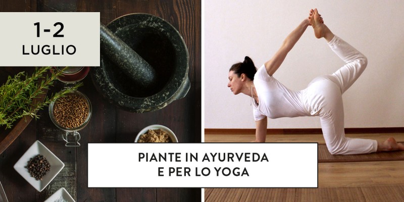 Piante in ayurveda e per lo yoga