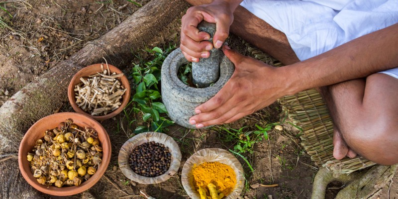 Shat karma 2: introduzione ai principi base dell'ayurveda 