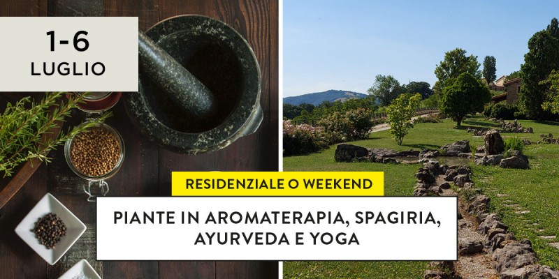 Piante in aromaterapia, spagiria, ayurveda e yoga