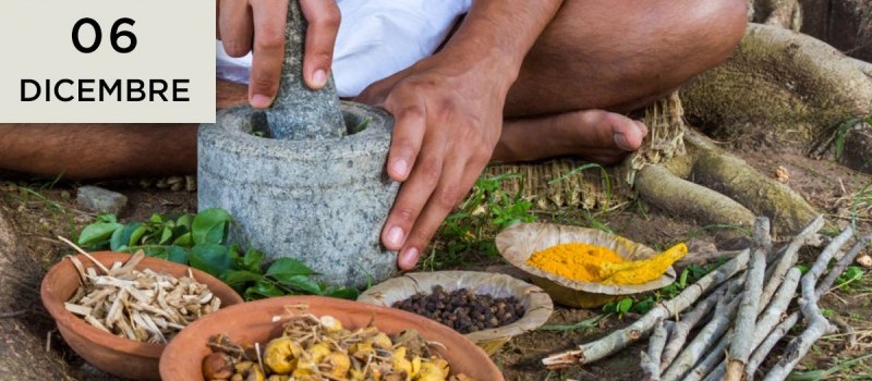 Le piante curative secondo l’Ayurveda. Classificazione e combinazioni