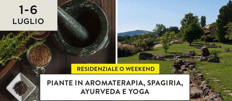 Piante in aromaterapia, spagiria, ayurveda e yoga
