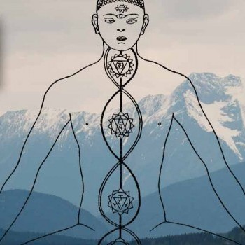Hatha yoga: l'equilibrio delle polarità