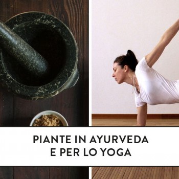 Piante in ayurveda e per lo yoga