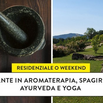 Piante in aromaterapia, spagiria, ayurveda e yoga